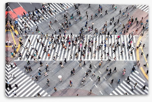 Tokyo crossing