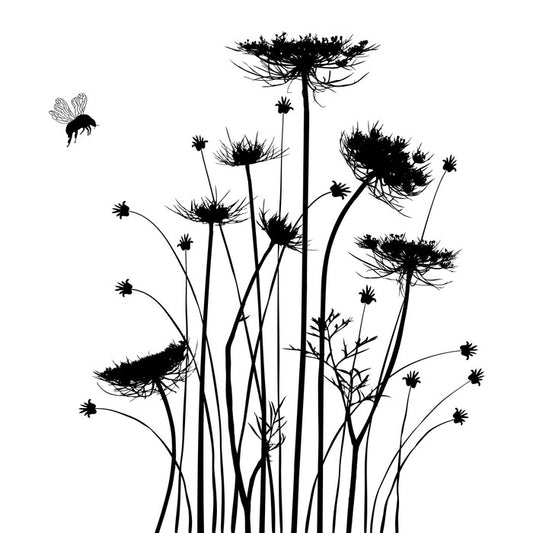 Silhouettes of summer