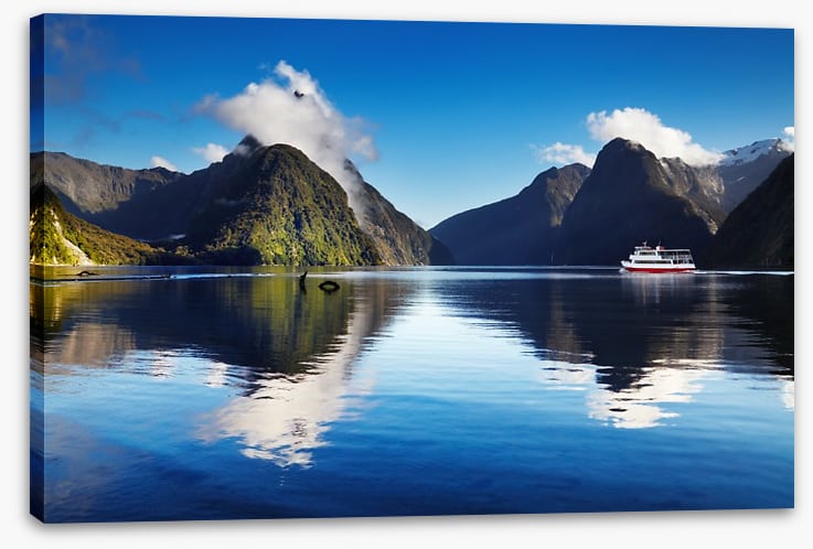Cruising Milford Sound