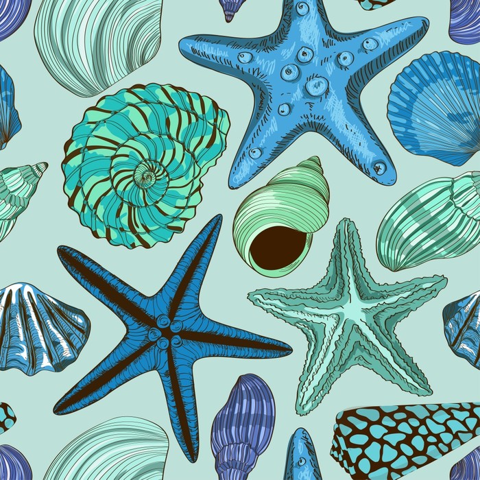 Seashells and starfish
