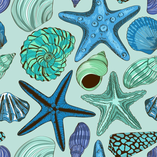 Seashells and starfish