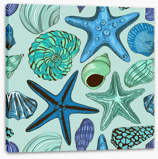 Seashells and starfish