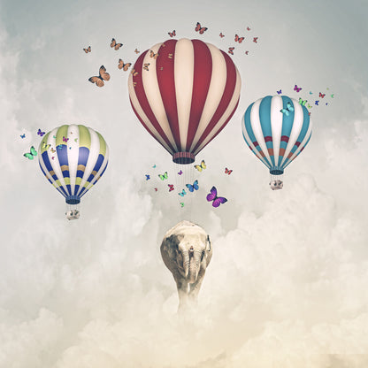 Elephant and balloons