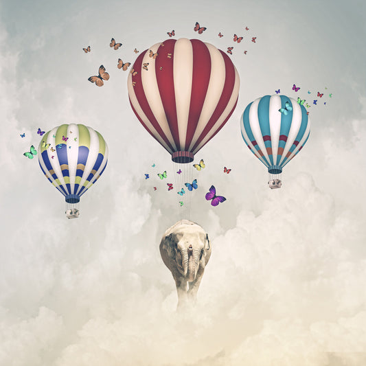 Elephant and balloons