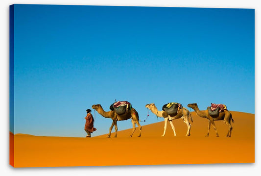 Camel caravan