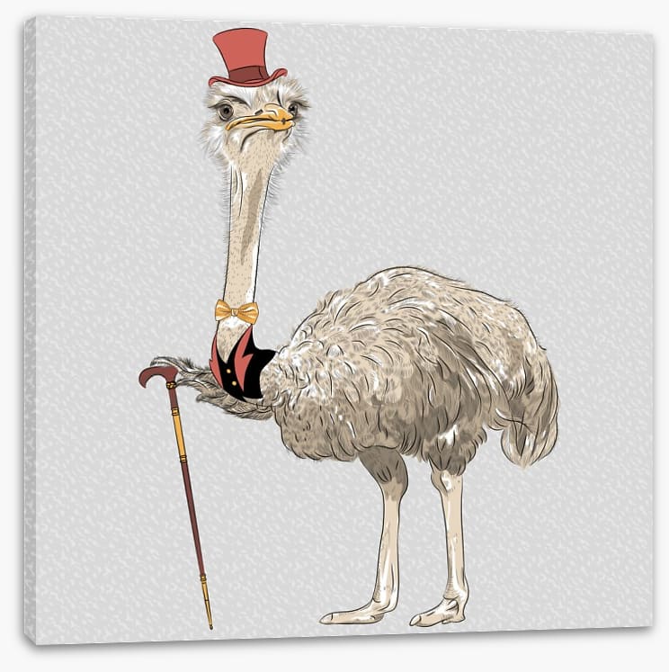 The old ostrich