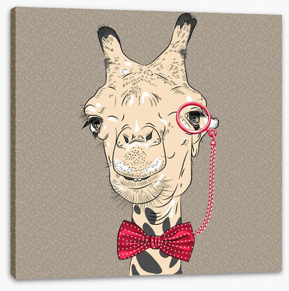 The old giraffe
