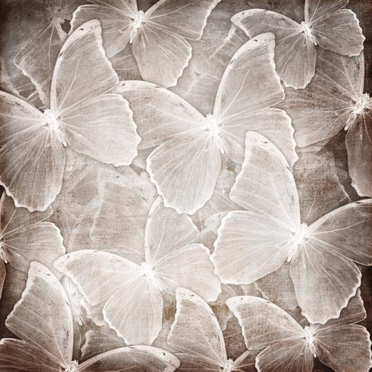 Butterfly chic