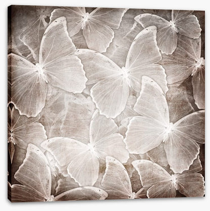 Butterfly chic