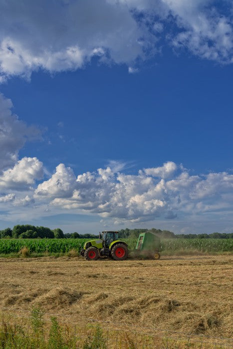 Agriculture