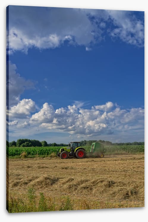 Agriculture