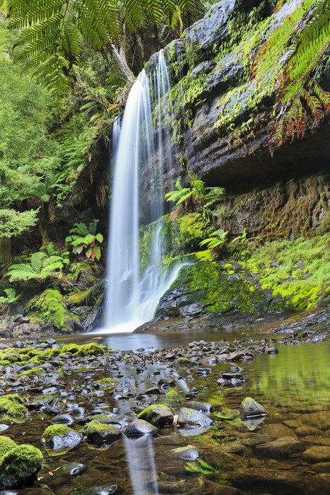 Rainforest cascade