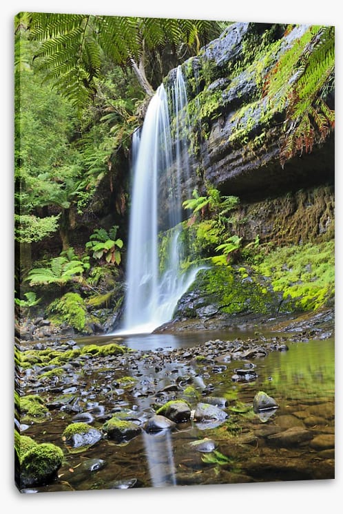 Rainforest cascade