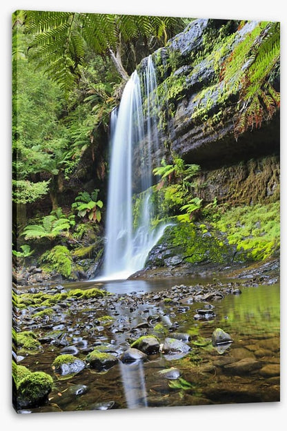 Rainforest cascade