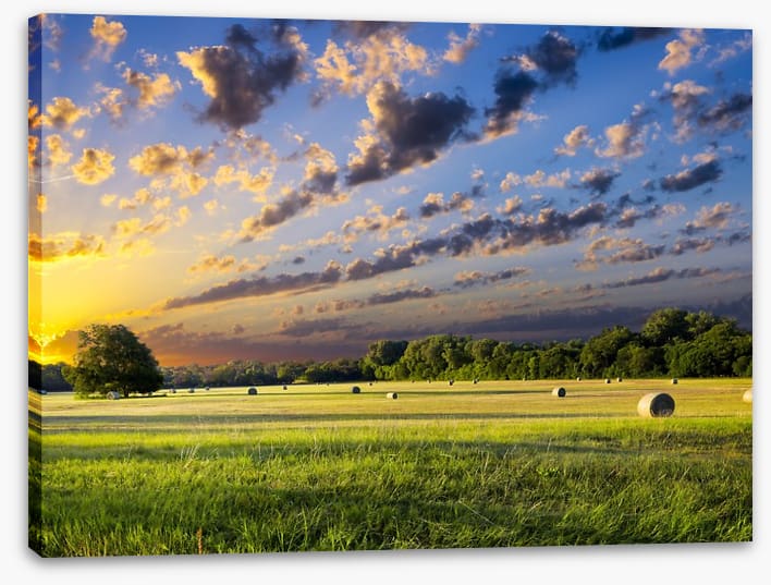 Hay bales at sunrise