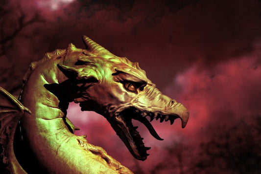 Dragons
