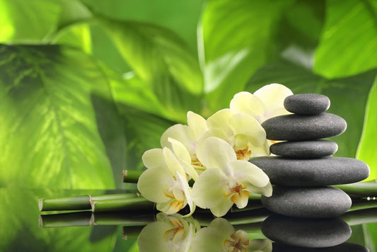 Green spa zen