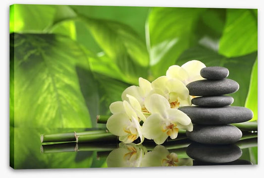 Green spa zen