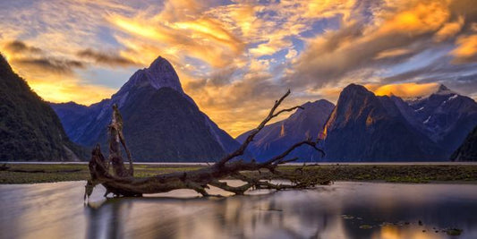 Milford Sound sunset