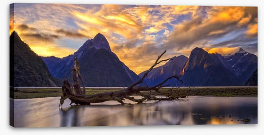 Milford Sound sunset