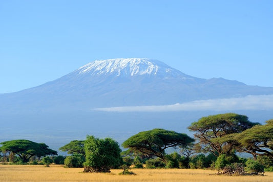Kilimanjaro snowtop