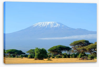 Kilimanjaro snowtop