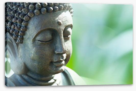 Meditation