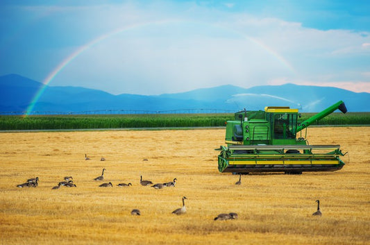 Agriculture