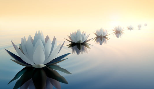 Reflections