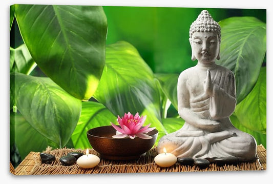 Buddha in meditation