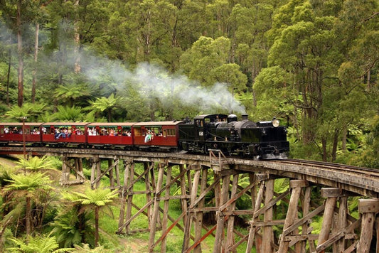 Puffing Billy steam train