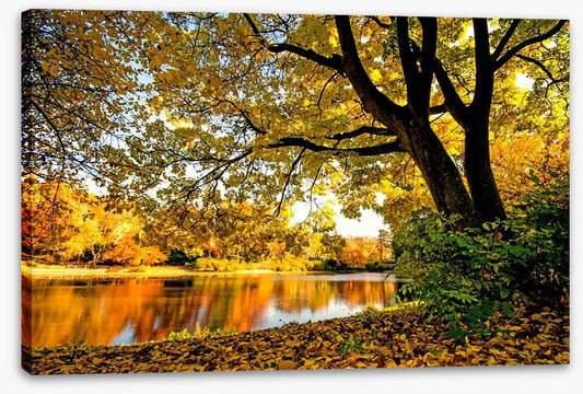 Autumn park glow
