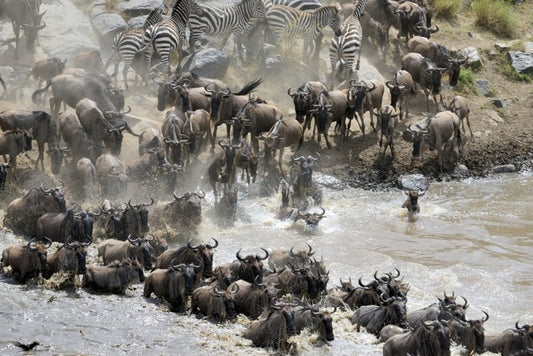 Africa