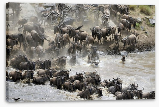 Africa