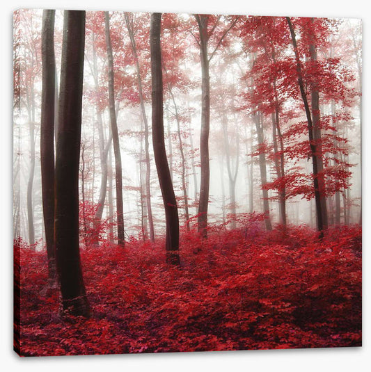 Glowing Autumn forest