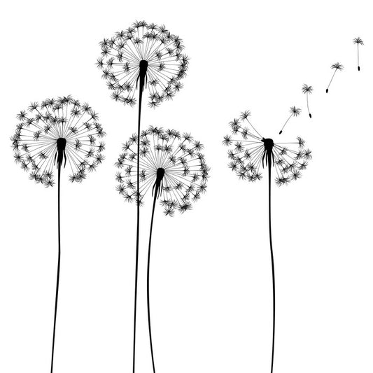 Make a wish