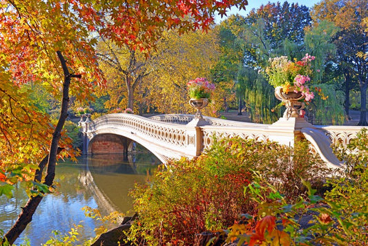 Bow Bridge beauty