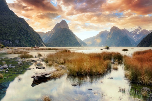 Milford Sound splendour