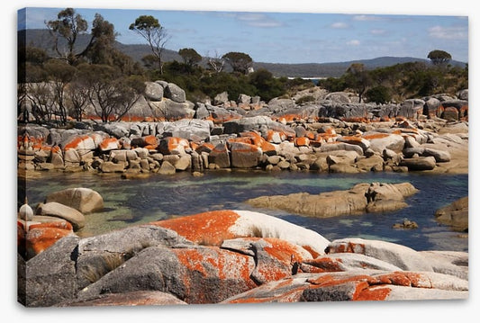 Boulders of fire, Tasmania
