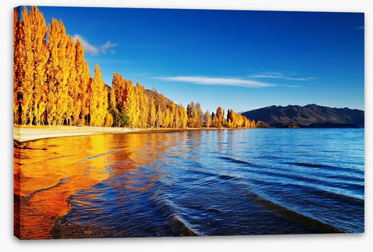Golden shores