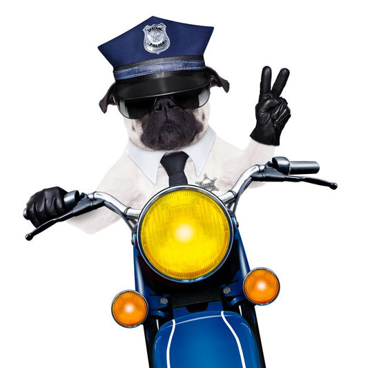 Police dog