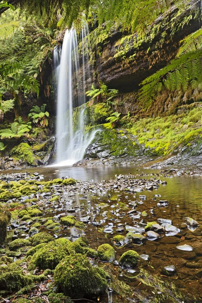 Russell Falls, Tasmania