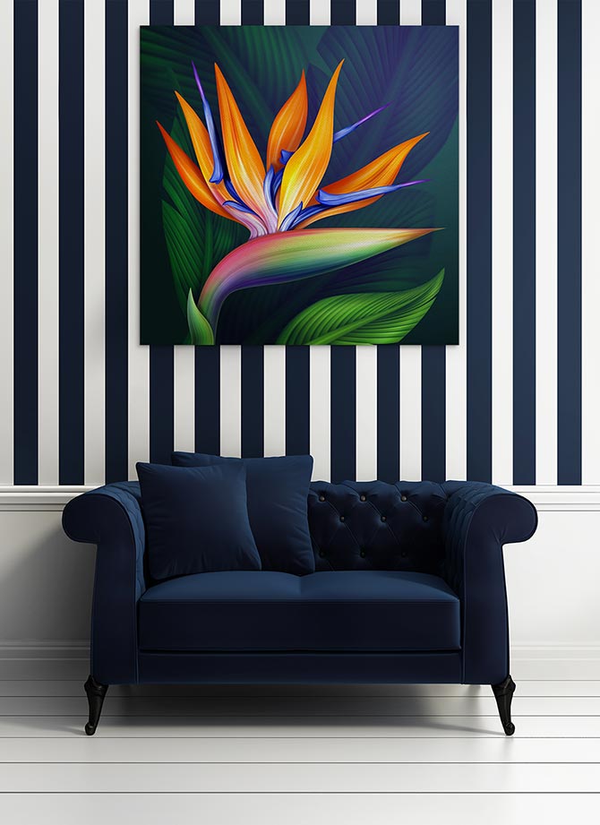 Bird of paradise