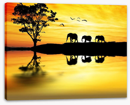 Elephant safari