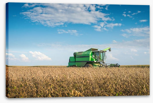 Agriculture