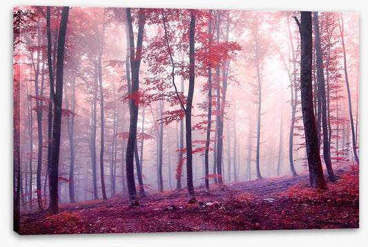 Mist and mystery