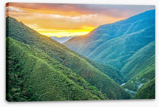 South America