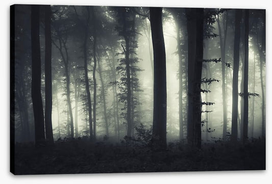 Foreboding forest