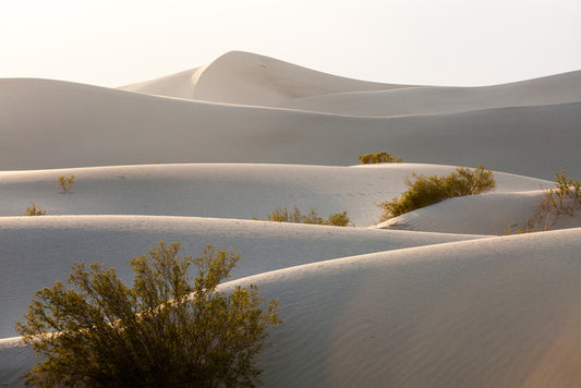 Desert