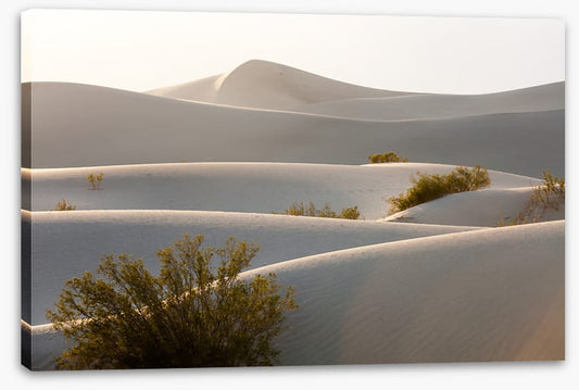 Desert